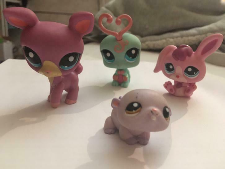 petshop a l'unité ou lot, Comme neuf