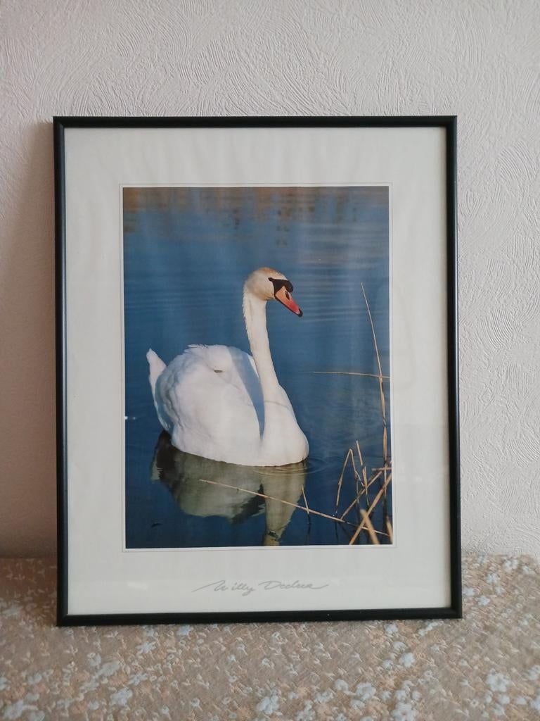 Drukwerk, Antiek en Kunst, Ophalen