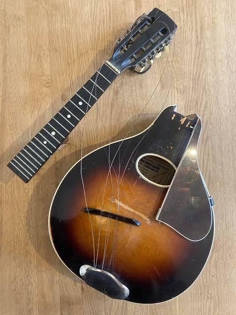 Gezocht kapotte mandoline, Musique & Instruments, Instruments à corde | Mandolines, Enlèvement