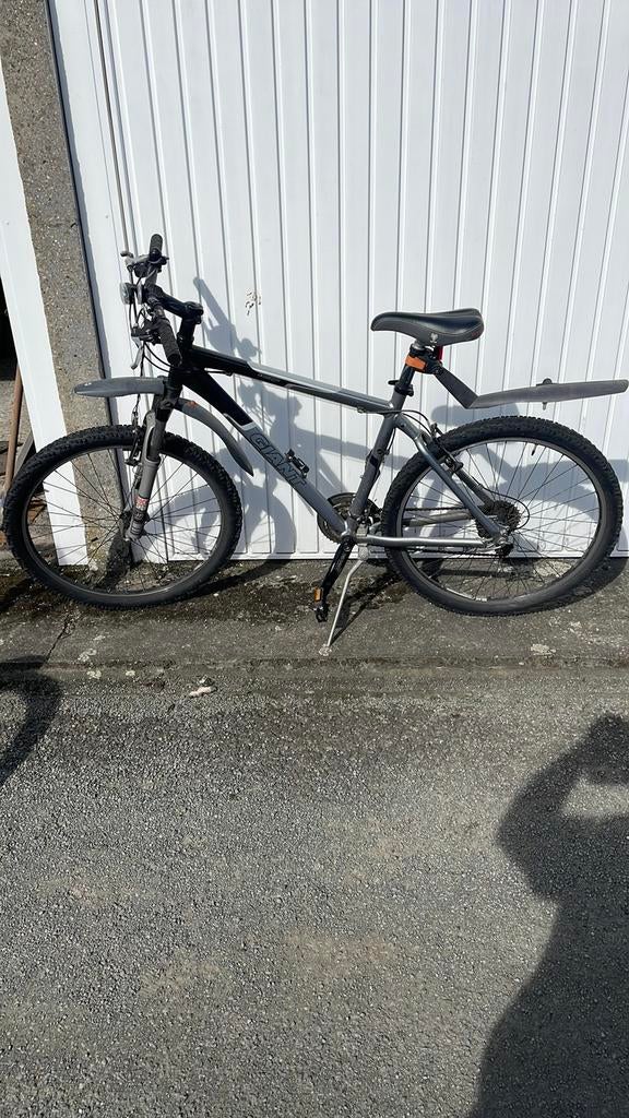 Fietsen te koop giant en raleigh, Ophalen, Giant