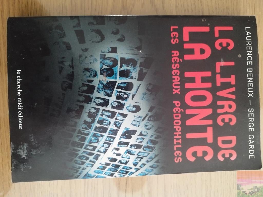 [RARE] Le Livre de la Honte - Laurence Beneux / Serge Garde, Enlèvement ou Envoi, Utilisé