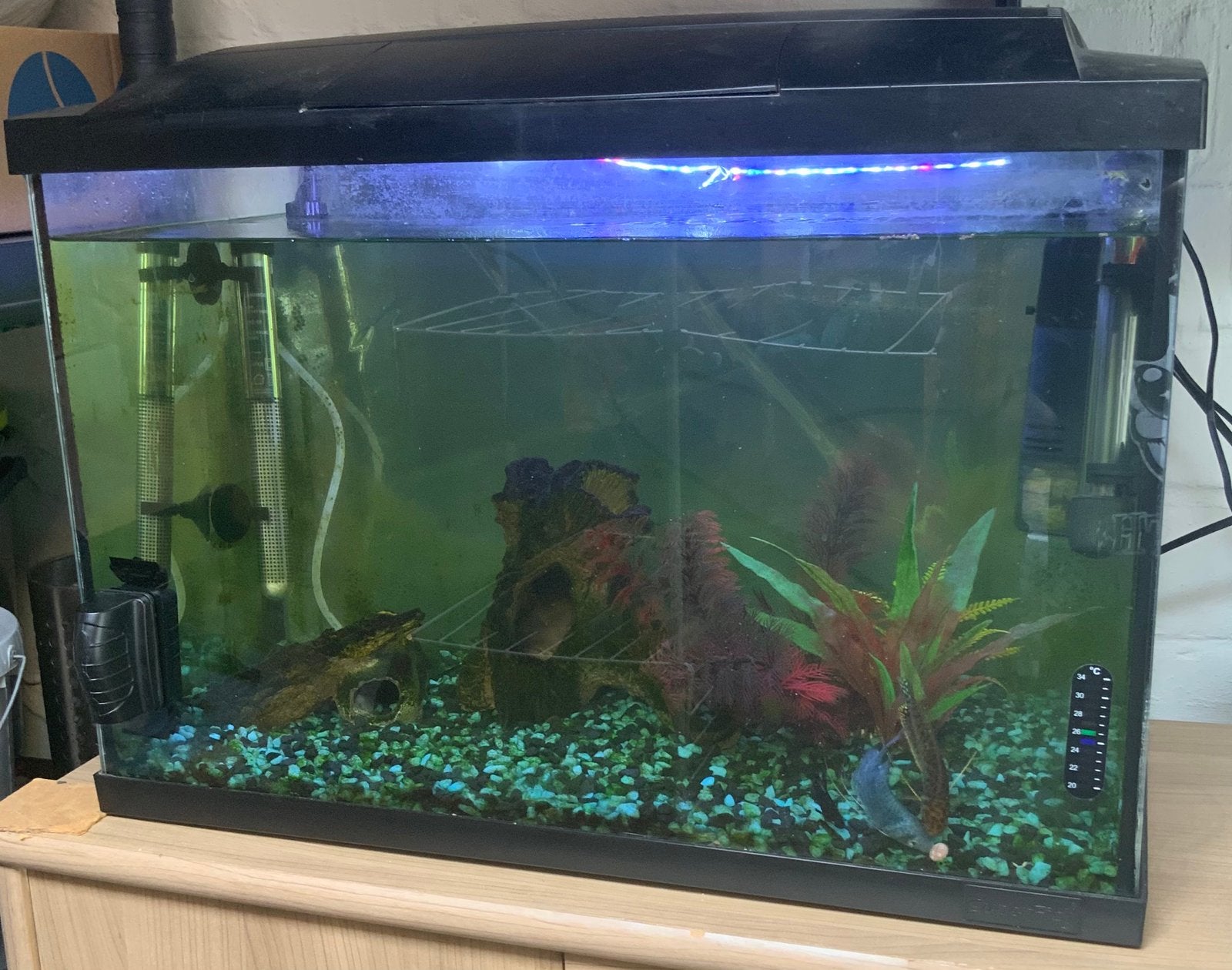 Aquarium, Enlèvement, Poissons inclus, Utilisé, Filter
