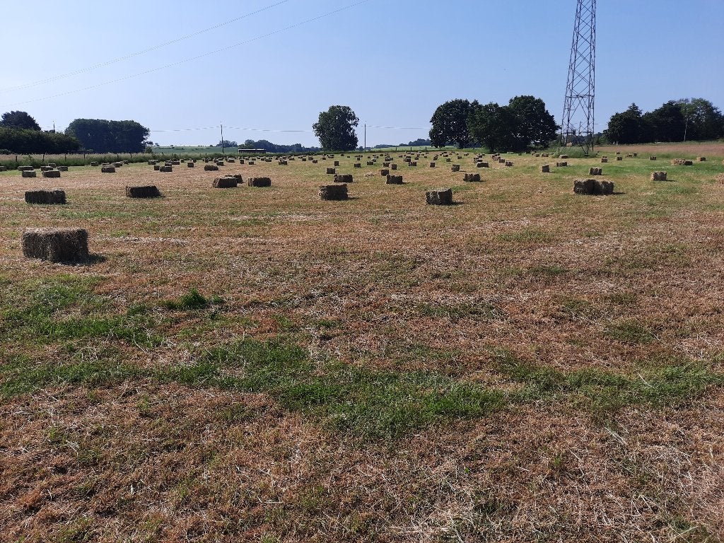 Hooi in kleine botten, Dieren en Toebehoren, Ophalen