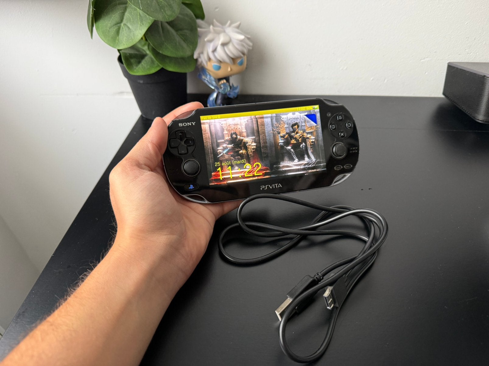 Ps Vita Oled Jailbreak, Consoles de jeu & Jeux vidéo, Enlèvement, Utilisé
