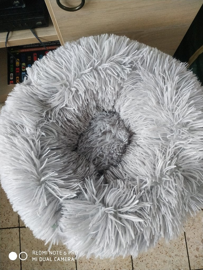 Accessoires Chaton neuf, Ophalen, Nieuw