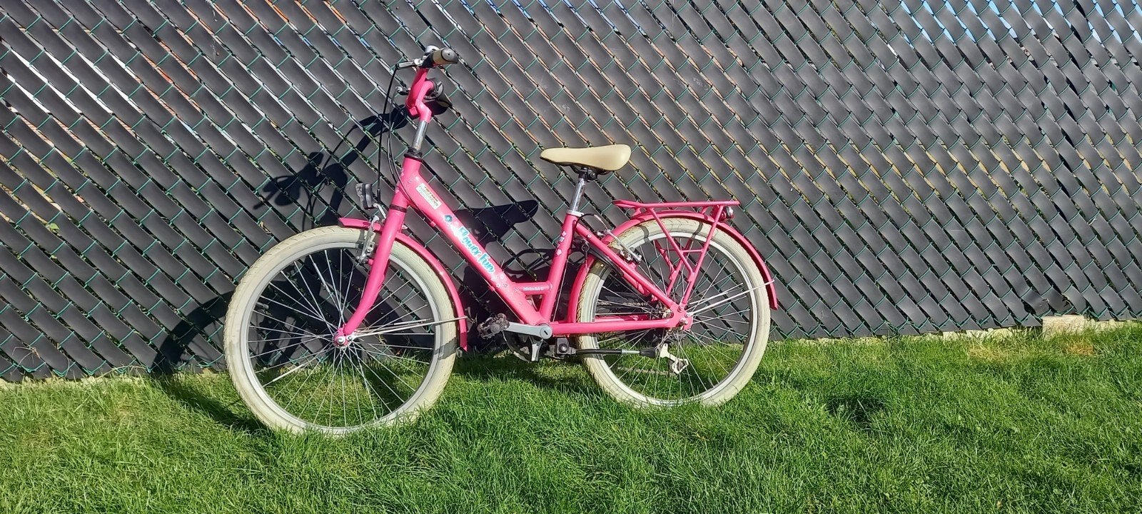 Donkerroze meisjesfiets 22 inch., Fietsen en Brommers, Ophalen, 22 inch, Gebruikt, Velgrem