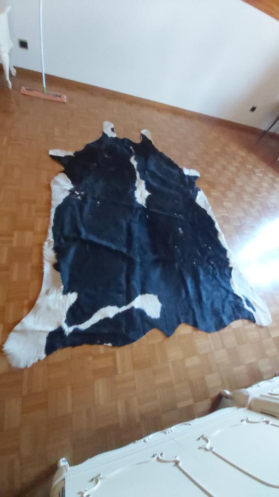 koevel tapijt, Huis en Inrichting, Ophalen, Gebruikt, 150 tot 200 cm, 200 cm of meer