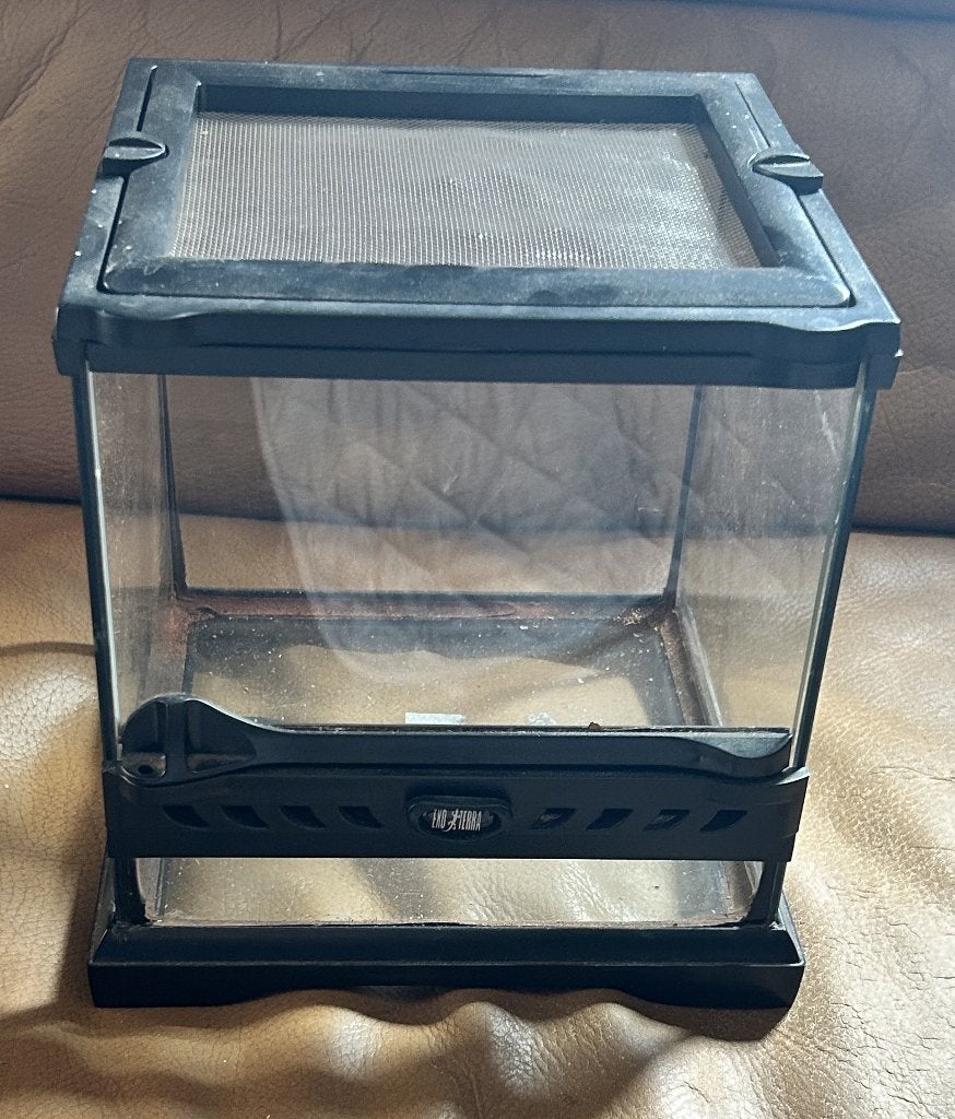 exo terra terrarium 20x20x20, Animaux & Accessoires, Reptiles & Amphibiens | Accessoires, Enlèvement, Comme neuf, Terrarium ou Paludarium