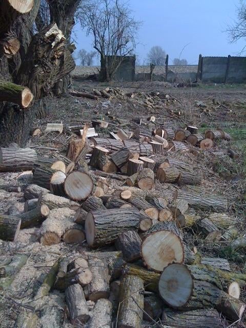 hout te koop, Enlèvement