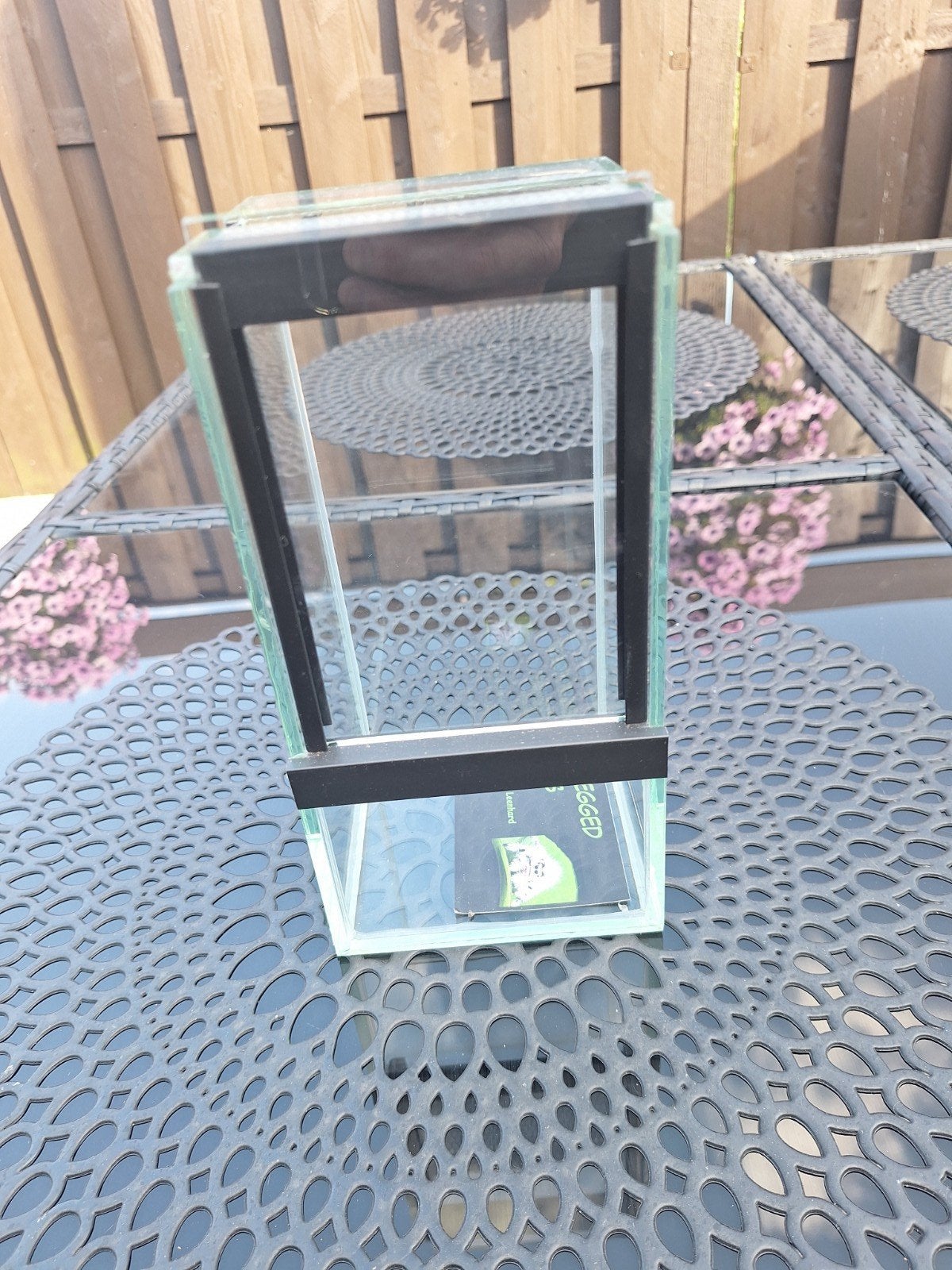 Terrarium voor springspin, Ophalen of Verzenden, Nieuw, Terrarium of Paludarium