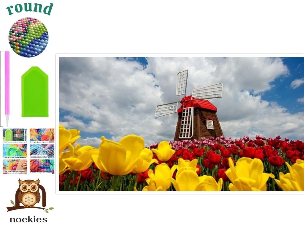 nr 2103 Diamond Painting molen tulpen 30x20cm (rond), Verzenden, Nieuw, Meerkleurig, Natuur en Bloemen