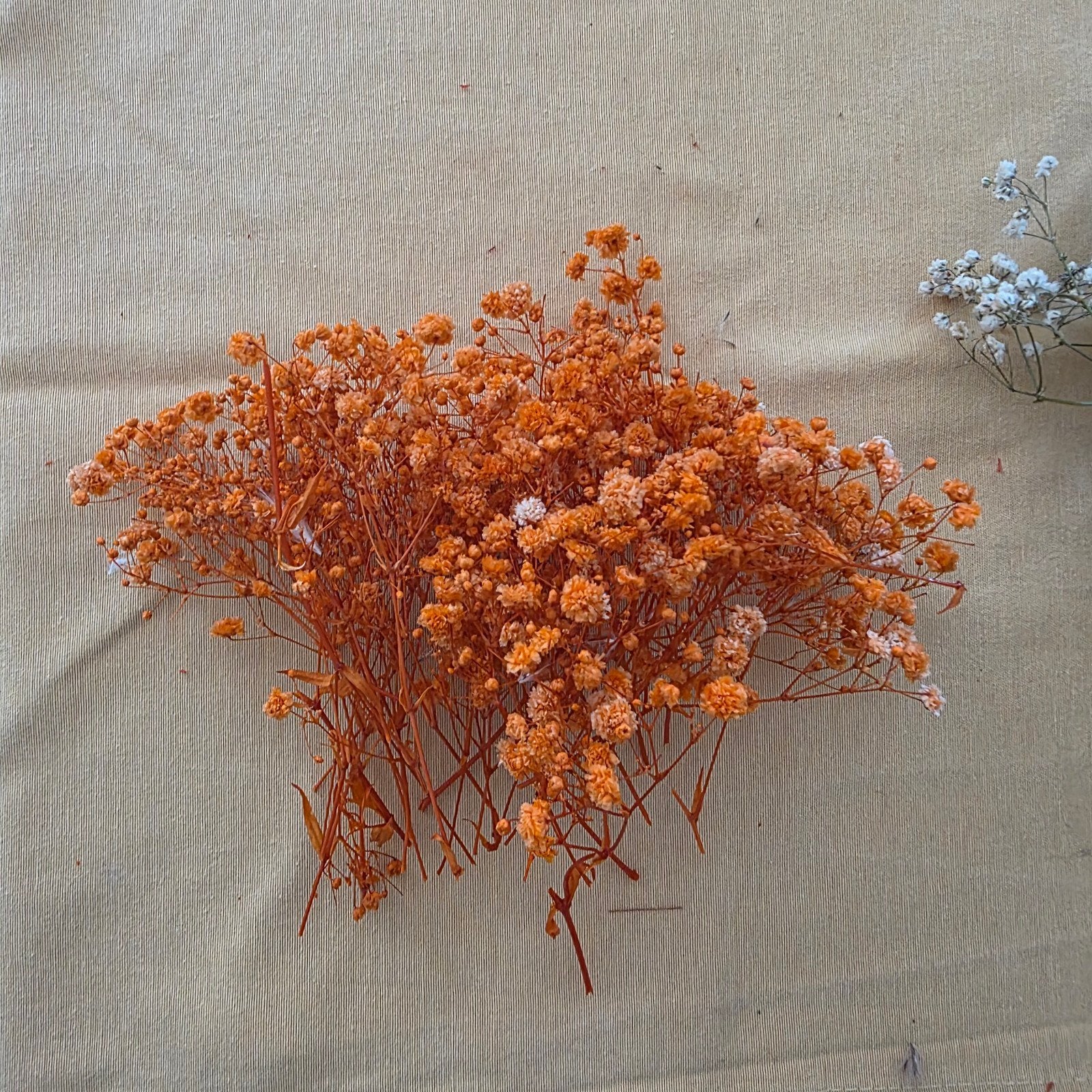 Déco mariage bohème terracotta. Fleurs et feuilles séchées., Enlèvement ou Envoi, Utilisé