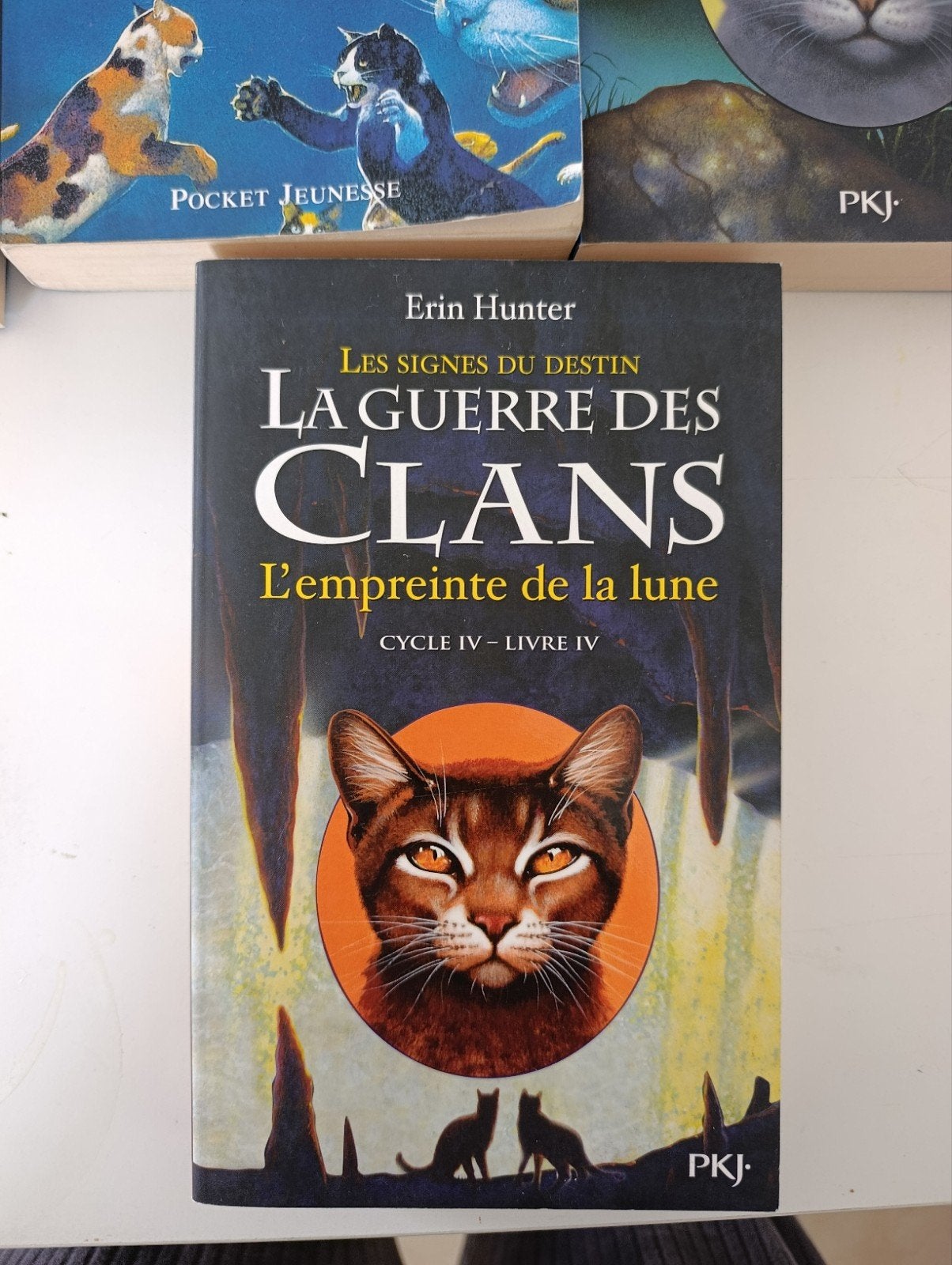 9782266264587La guerre des clans
signes du destin
l'empreint, Livres, Enlèvement ou Envoi