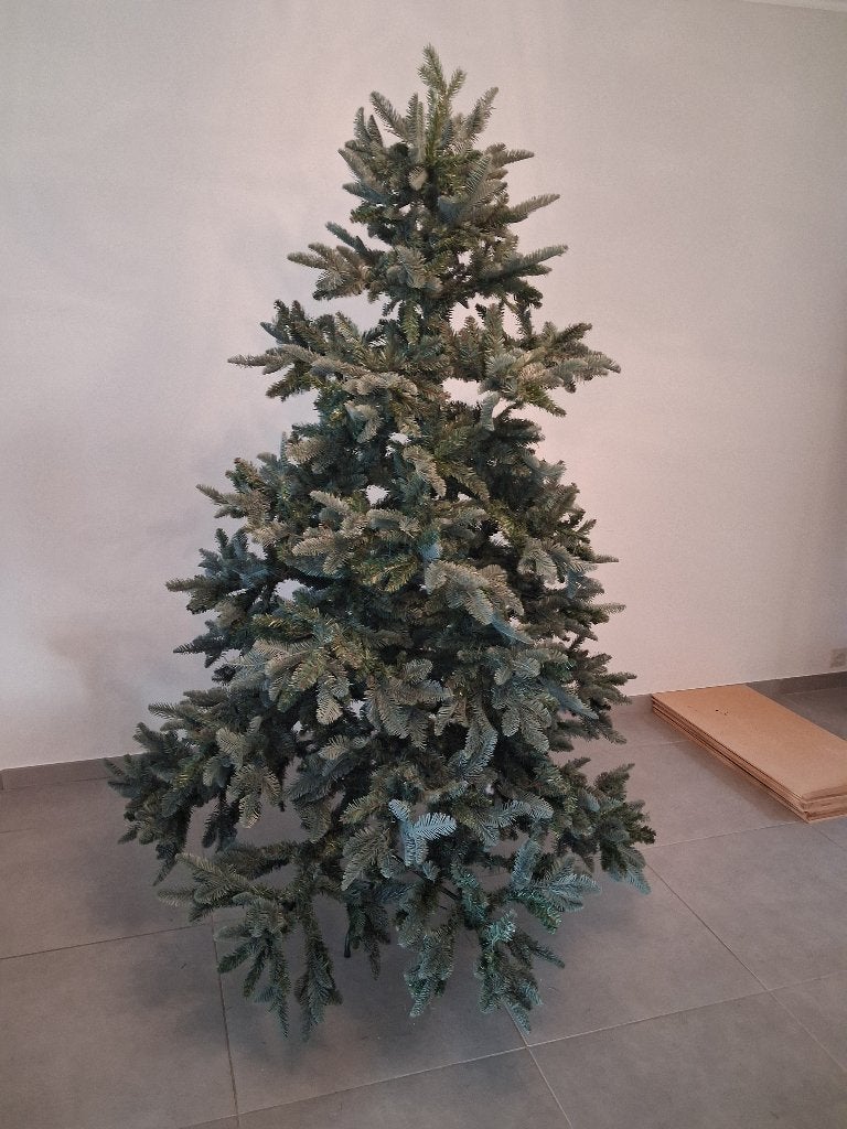 mooie grote (2m hoog) kerstboom Abies Nordmann Triumph tree, Diversen, Ophalen of Verzenden