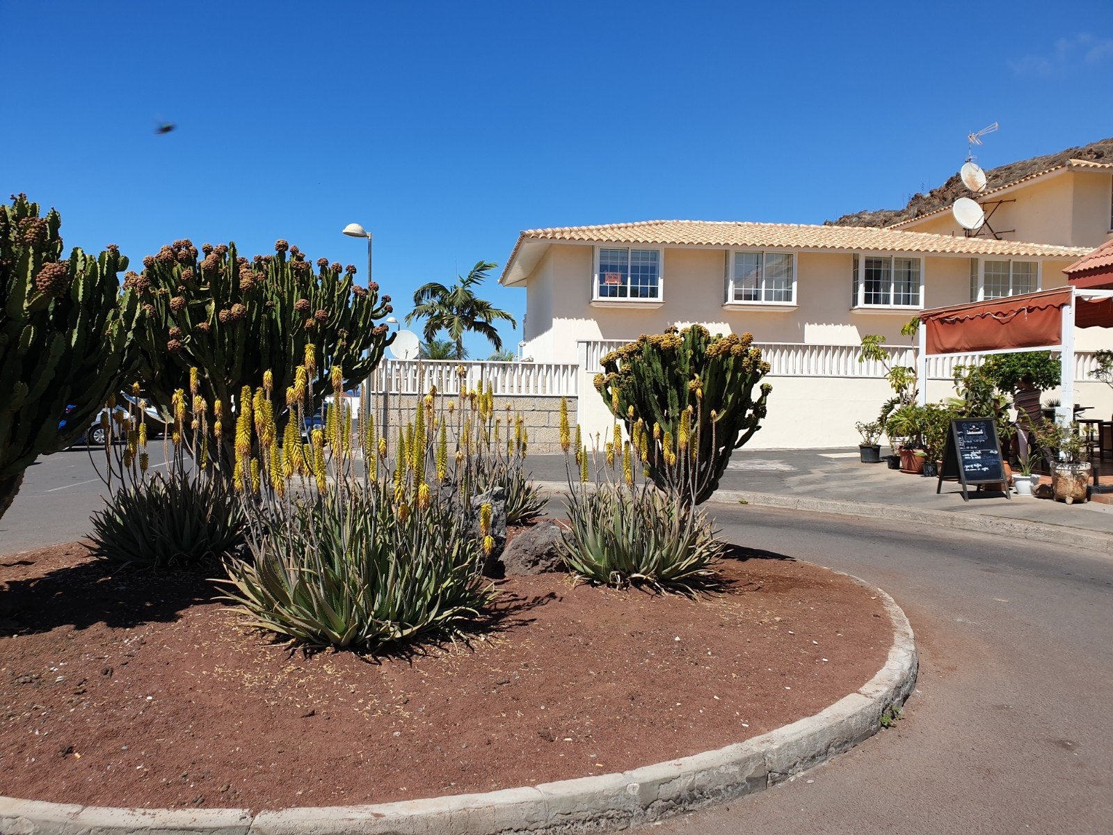 prachtige bungalow tehuur Palm Mar Tenerife privé zwembad, Vacances, Piscine, Appartement, 2 chambres