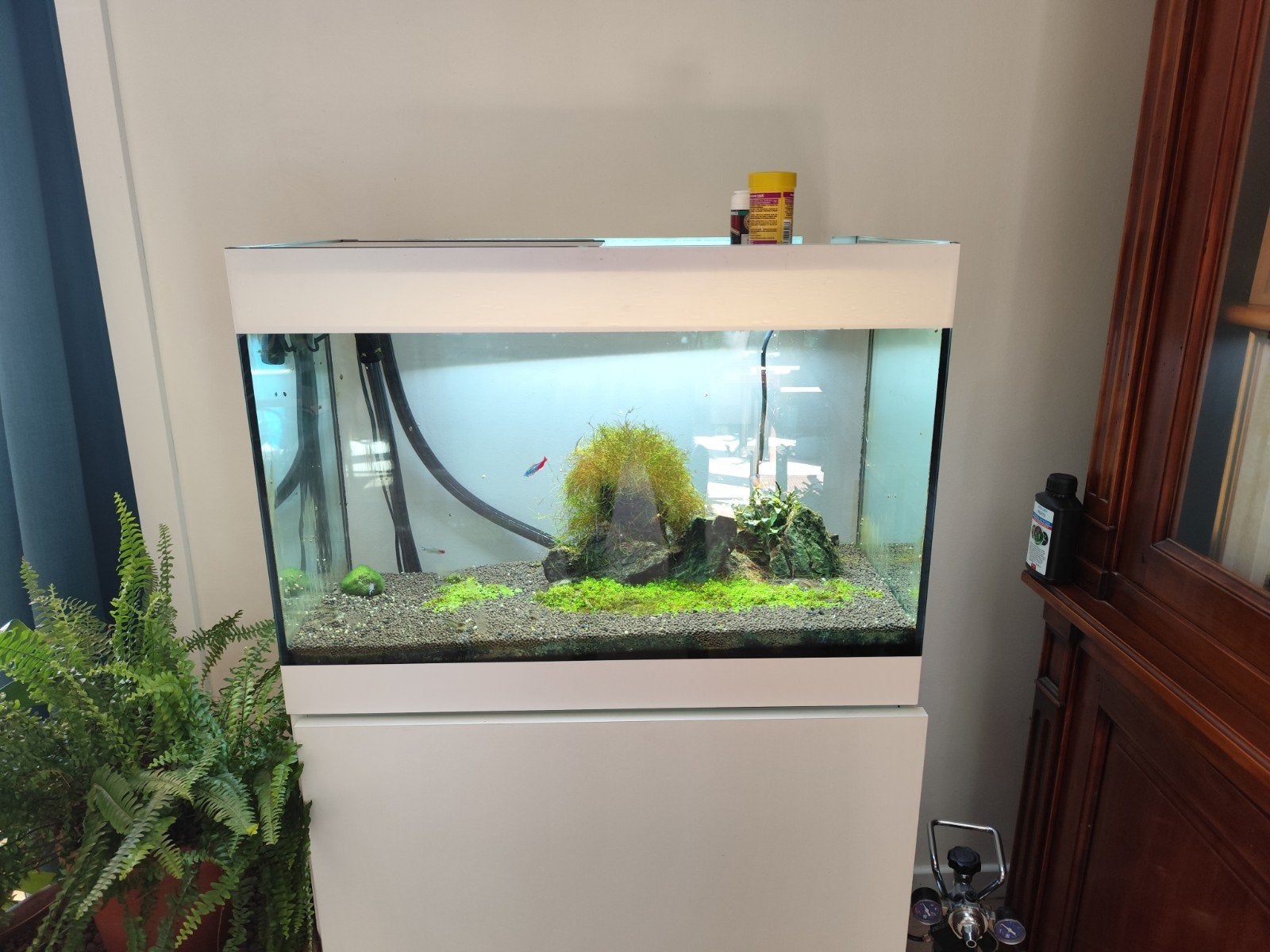 Aquarium 120 litres, Animaux & Accessoires, Poissons | Aquariums & Accessoires, Enlèvement