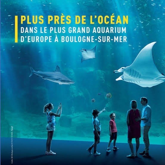 4 entrées à Nausicaa, Trois personnes ou plus