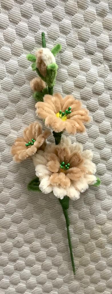 Pijpenragers bloemen tak 19 A, Verzenden, Nieuw