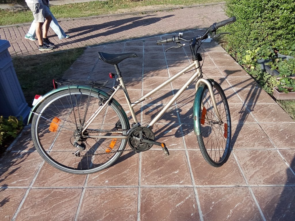 Fiets voor student, Fietsen en Brommers, Fietsen | Dames | Damesfietsen, Ophalen, Gebruikt, Velgrem, Versnellingen