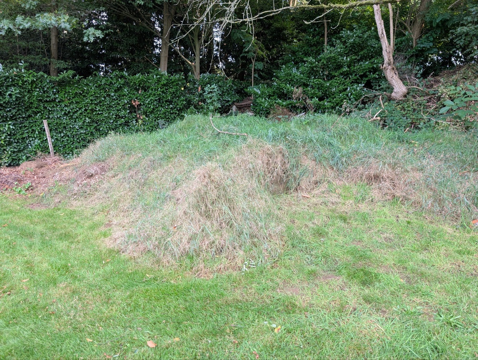 Gratis grond, Tuin en Terras, Ophalen, Tuinaarde