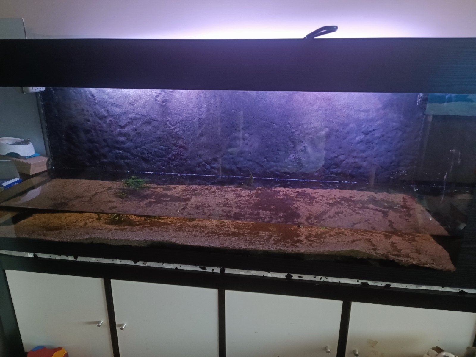 Aquarium 1m50, Dieren en Toebehoren, Ophalen, Filter