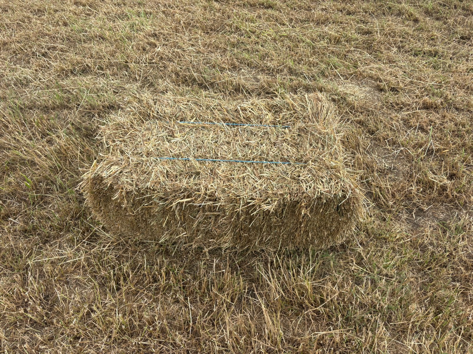 Kleine balen hooi, Dieren en Toebehoren, Ophalen