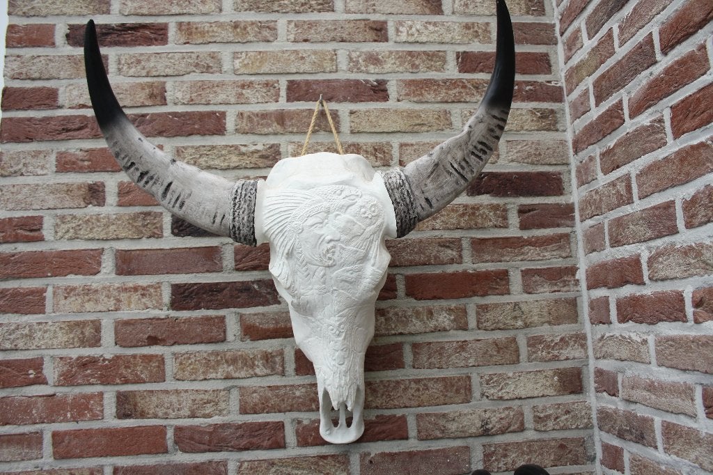 decoratieve waterbuffelschedel met hoorns, Collections, Collections Animaux, Enlèvement, Comme neuf, Autres, Crâne