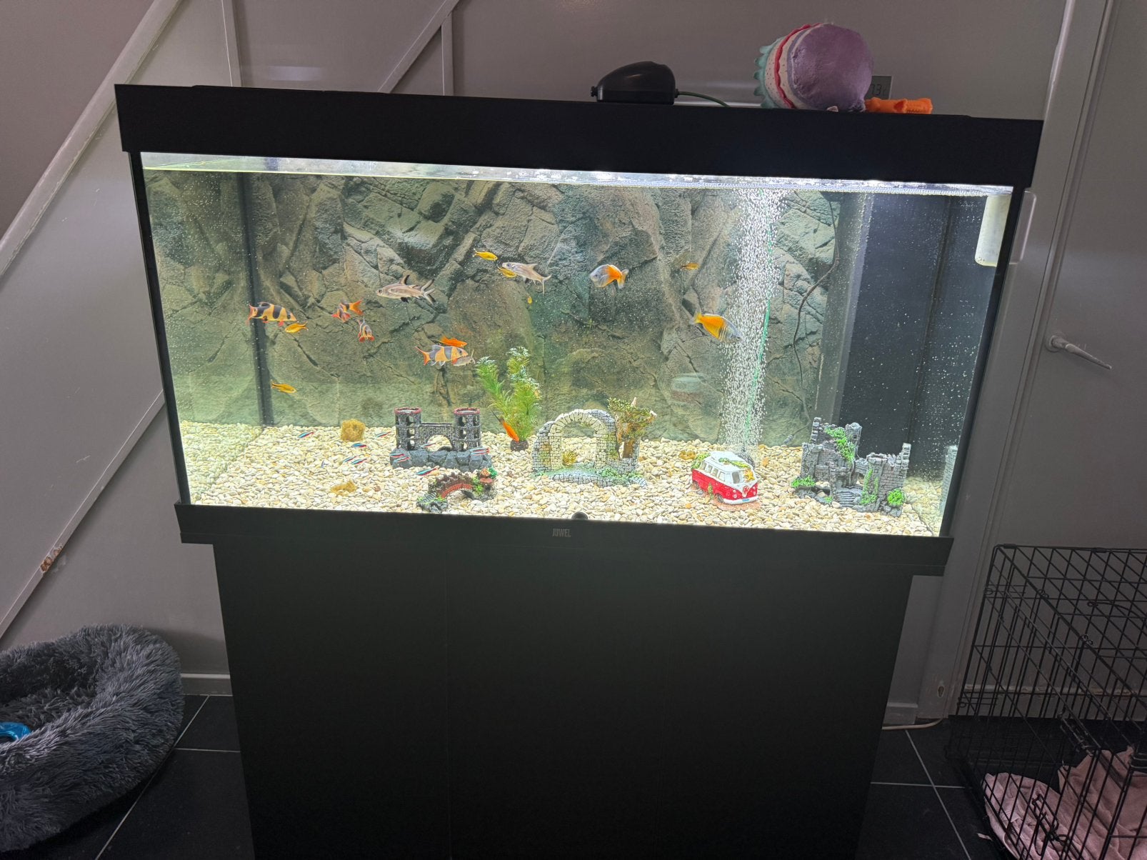 Zeer mooie aquarium, Animaux & Accessoires, Poissons | Aquariums & Accessoires, Enlèvement, Comme neuf, Juwel