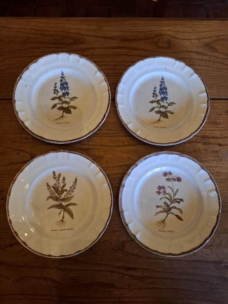 4 platte borden botanic Faience de Moustiers, Enlèvement ou Envoi