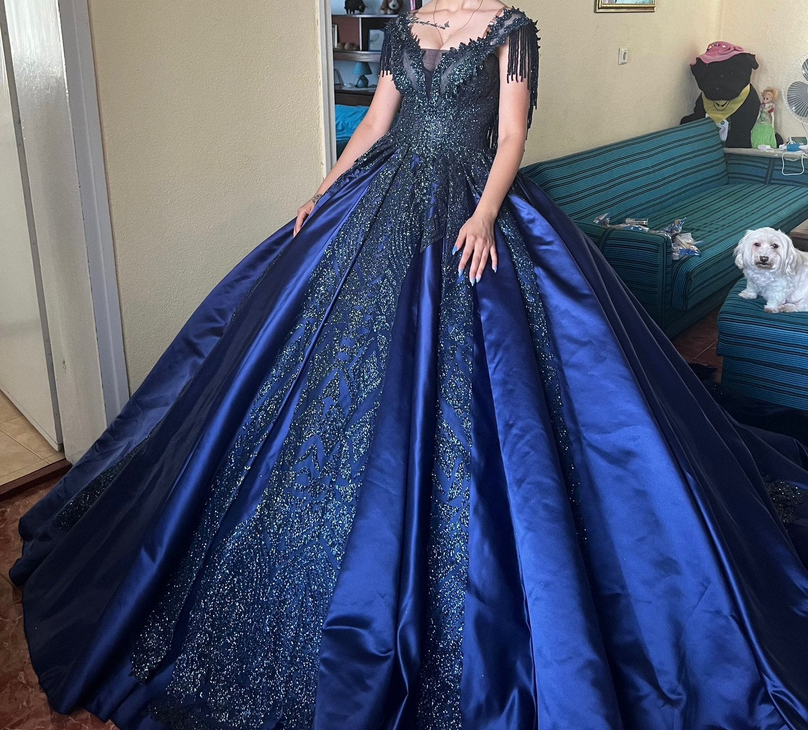 Beautiful Blue Wedding / Henna Dress with Tail, Vêtements | Femmes, Enlèvement, Comme neuf, Argenté