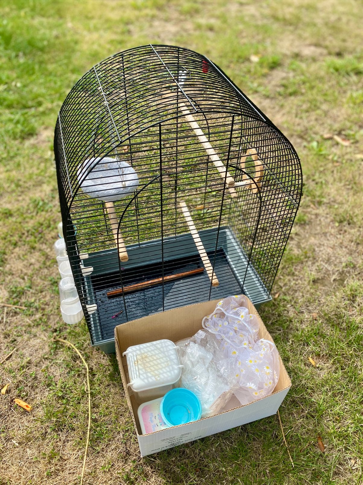 Grande cage à oiseaux + accessoires, Animaux & Accessoires, Oiseaux | Cages & Volières, Enlèvement, Utilisé, Cage à oiseaux