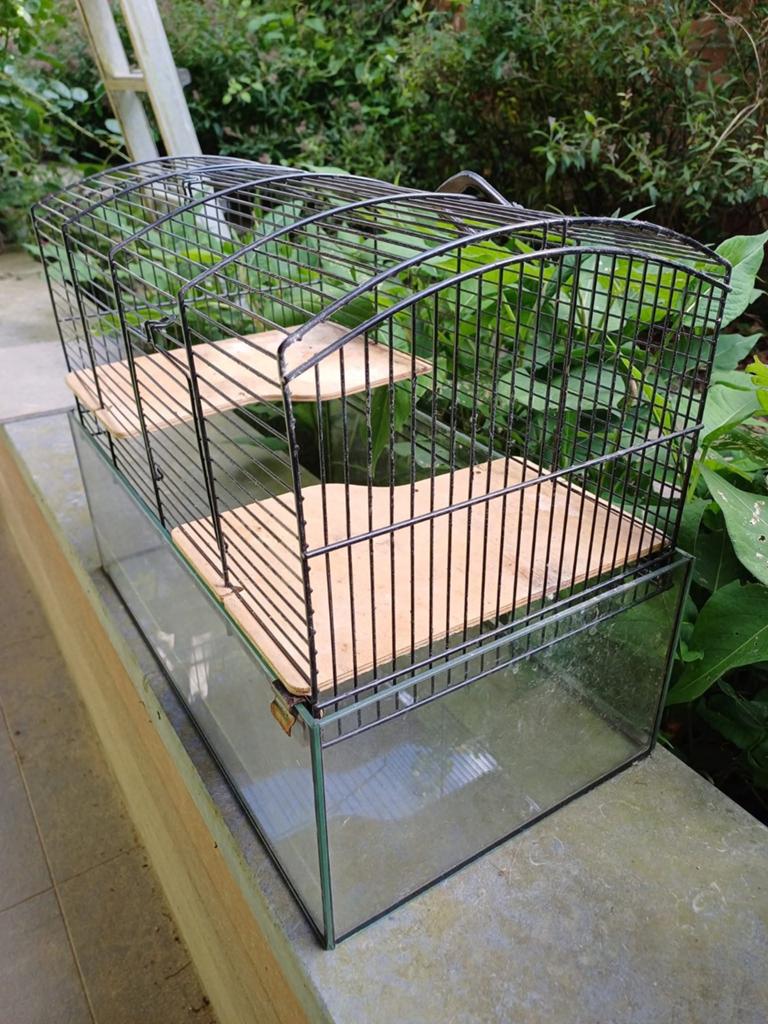 Hamsterkooi, Ophalen