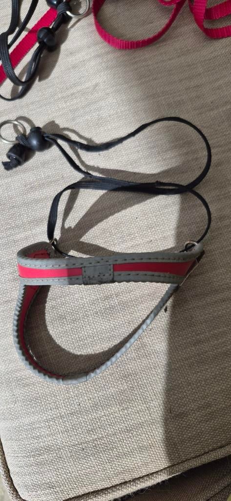 Tre point maat 1, Dieren en Toebehoren, Katten-accessoires, Ophalen of Verzenden, Gebruikt