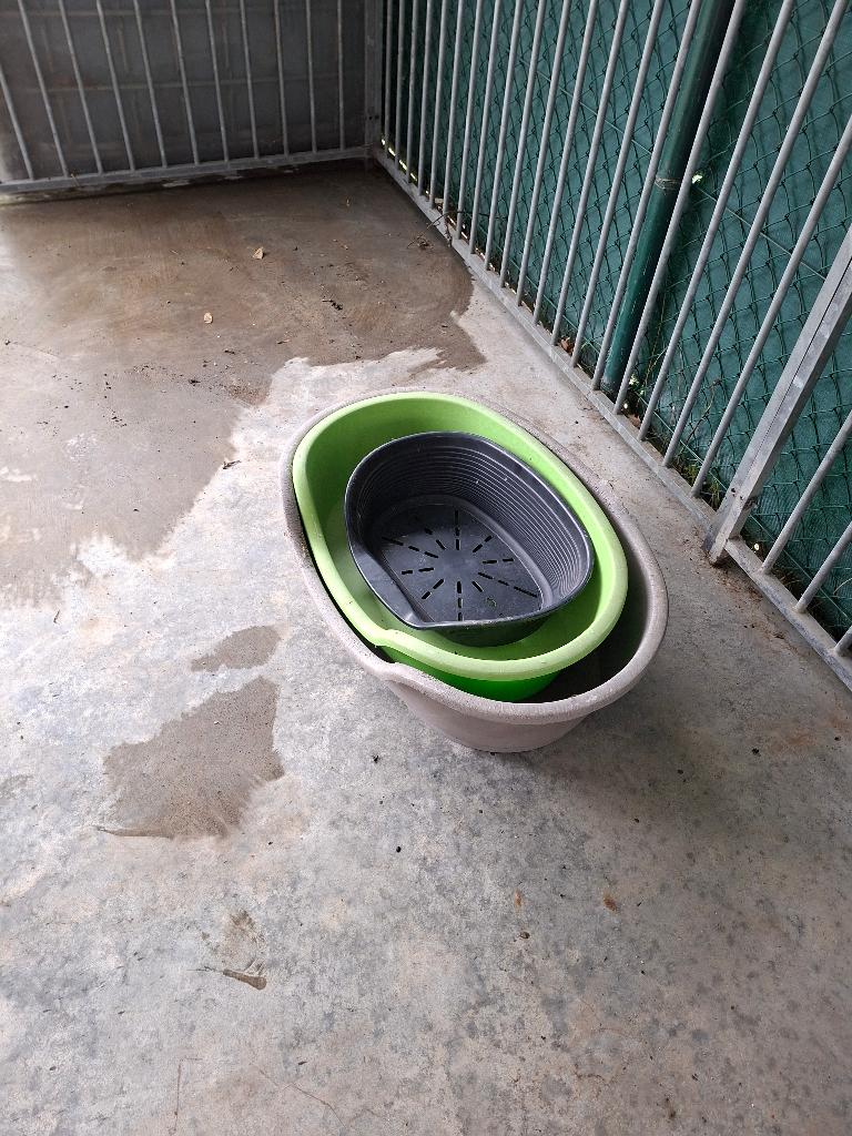 Ensemble de 3 lits robustes pour chiens, Enlèvement, Utilisé