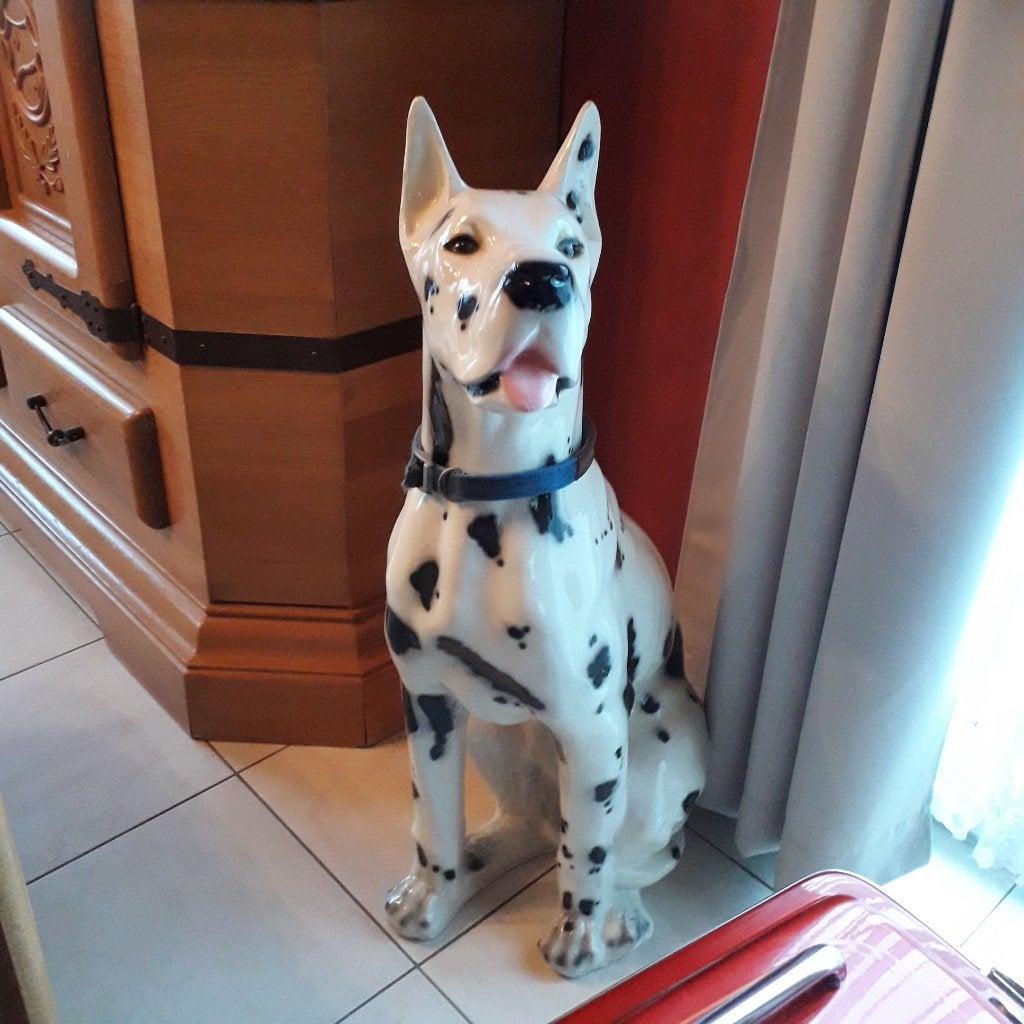 deense dog, Enlèvement, Comme neuf, Animal