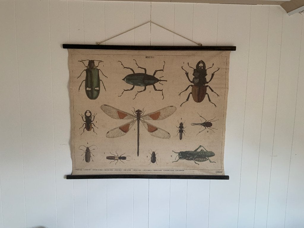 Wanddecoratie, Ophalen, Gebruikt, Vintage, 100 cm