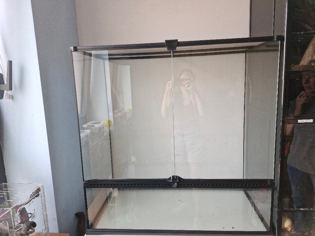 Terrarium, Enlèvement, Comme neuf, Terrarium ou Paludarium