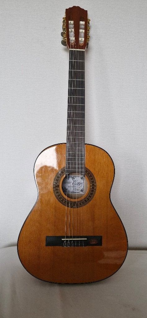 Gitaar 3/4 kind met hoes, steun en standaard, Musique & Instruments, Enlèvement, Comme neuf, Guitare classique ou espagnole