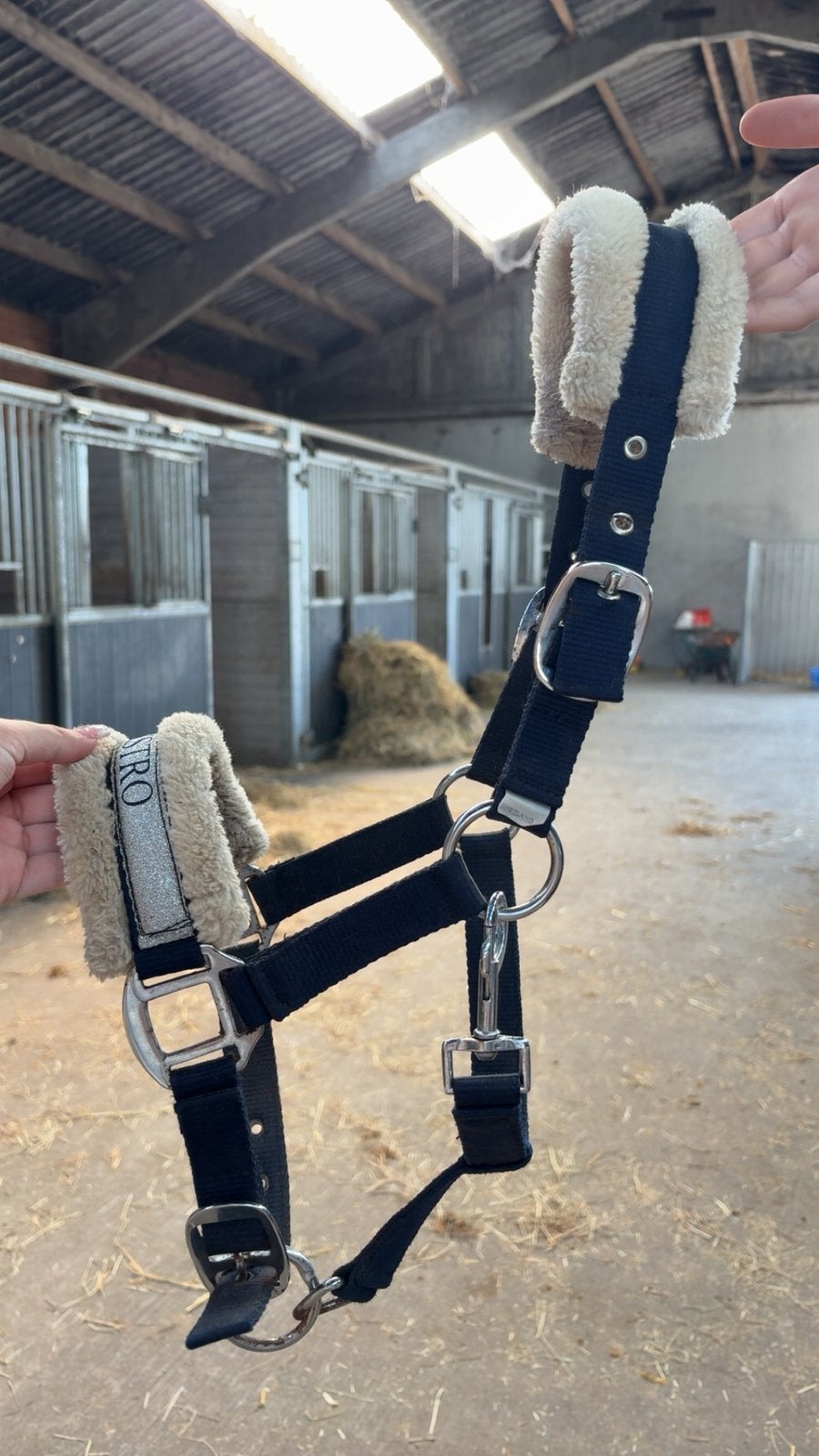 Blauw MAESTRO halster met bont – €15, Shetlander, Gebruikt, Ophalen of Verzenden, Met bont