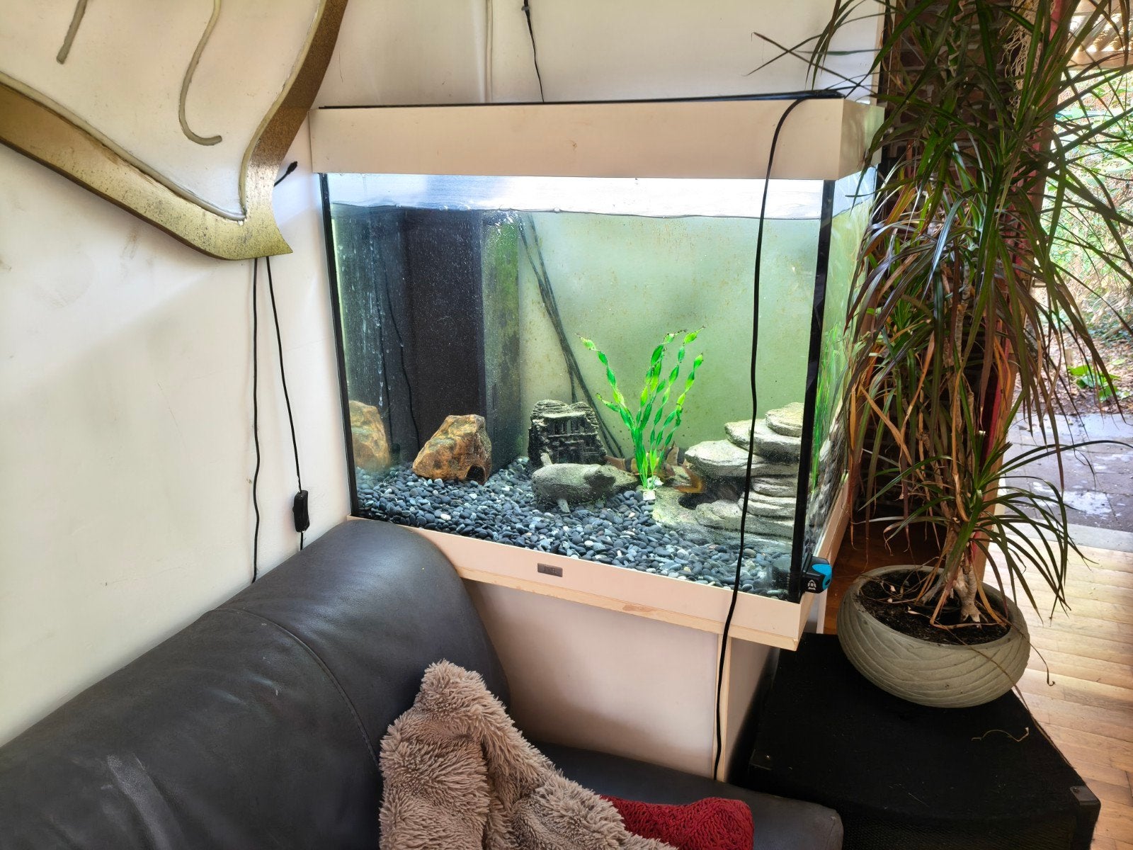 aquarium 70x50x66cm, Animaux & Accessoires, Enlèvement
