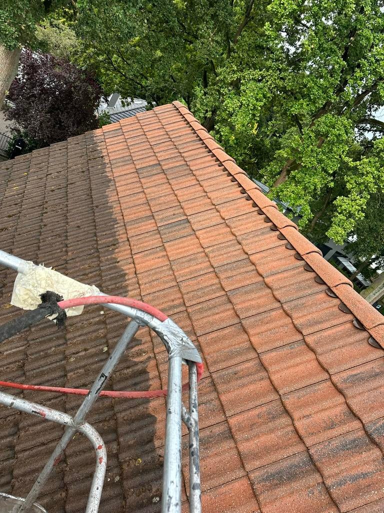 DAK VOL MOS OF VUIL? WIJ MAKEN HET ALS NIEUW!, Diensten en Vakmensen, Tuinmannen en Stratenmakers, Garantie
