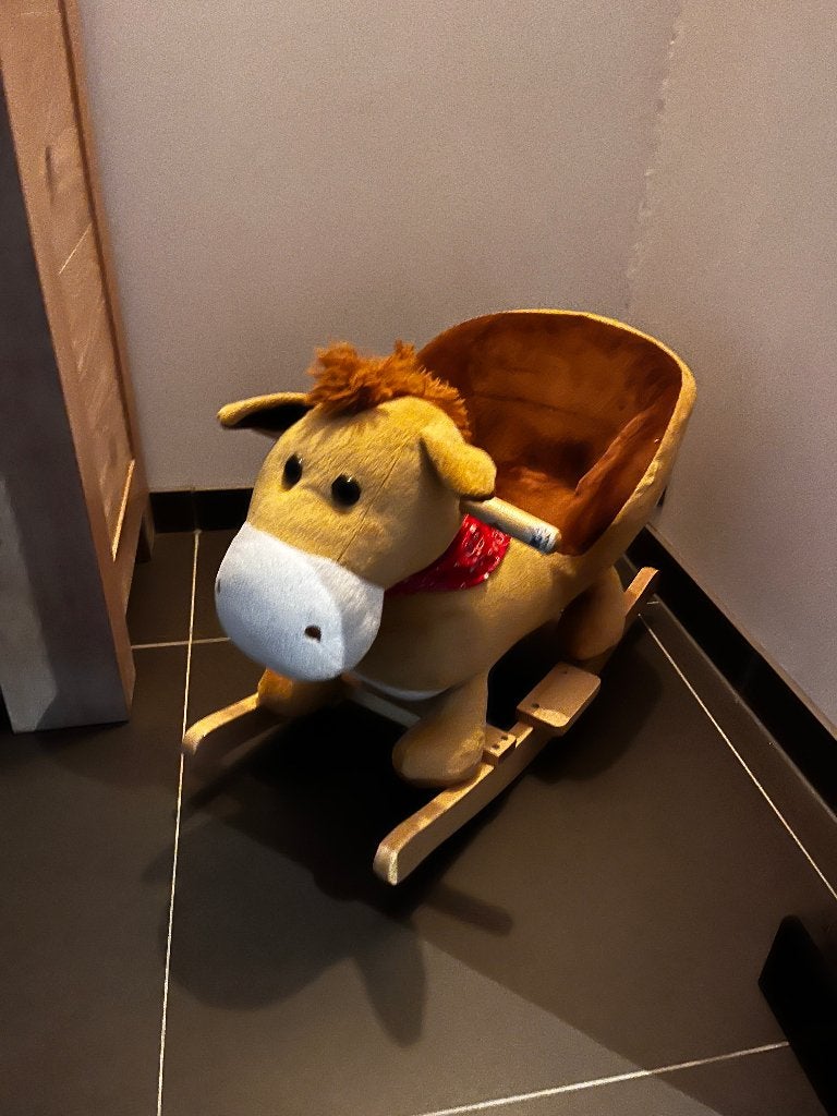 Schommelpaard, Kinderen en Baby's, Ophalen, Zo goed als nieuw