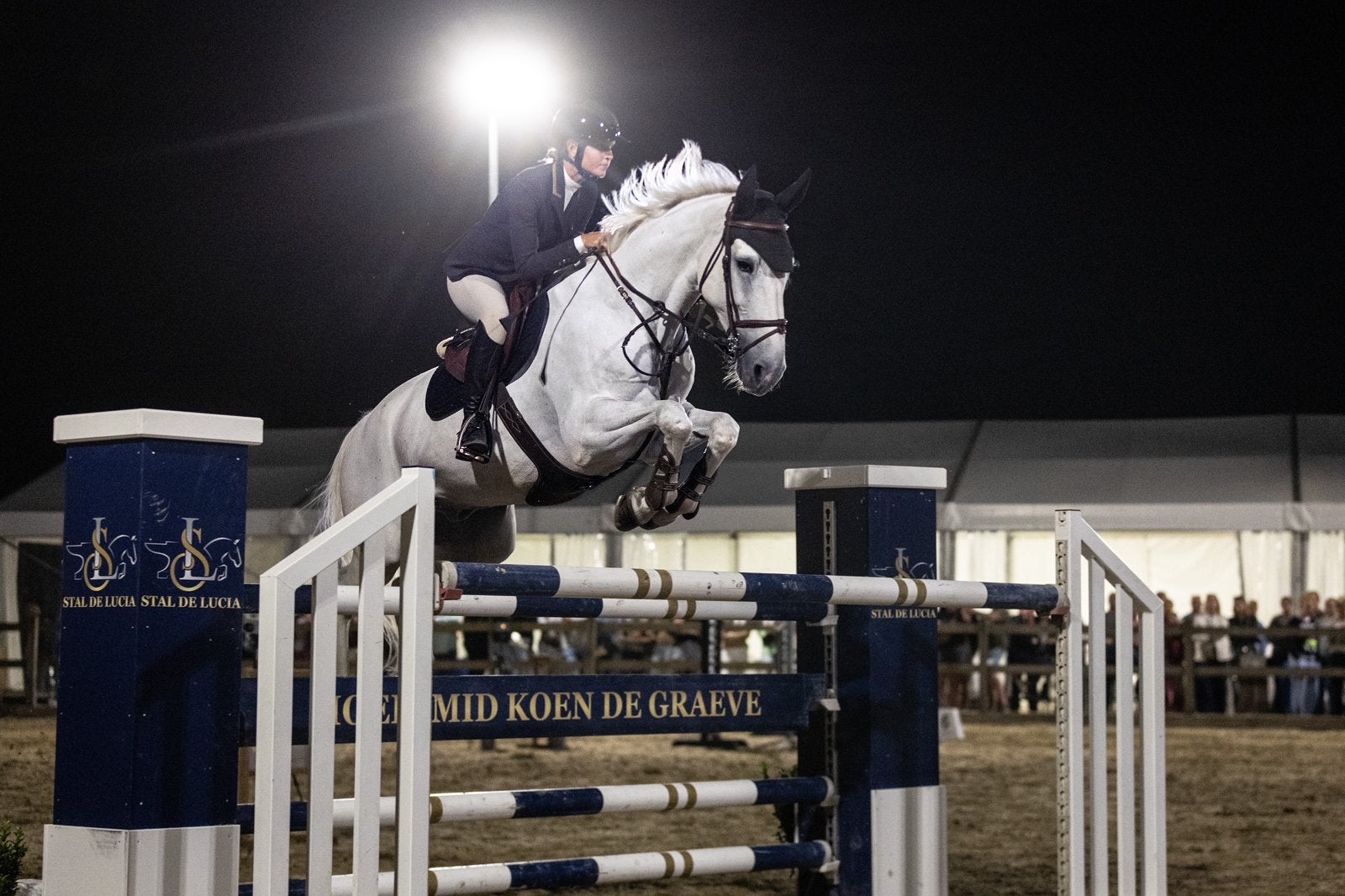 Trainer/lesgever jumping | Regio Oost- en West-Vlaanderen, Dieren en Toebehoren, Paarden
