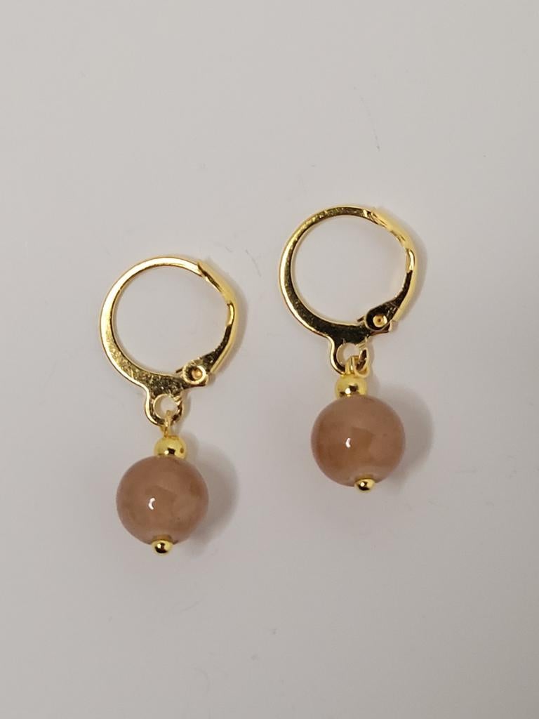 Oorbellen rvs bruin, Handtassen en Accessoires, Oorbellen, Hangers, Bruin, Nieuw, Ophalen of Verzenden