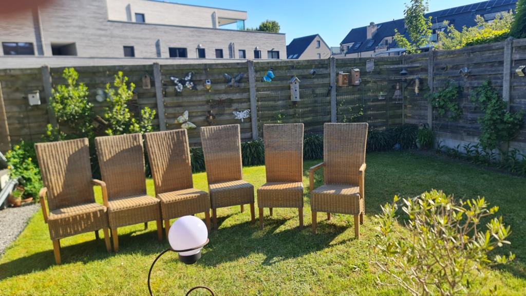 Zes rieten stoelen voor buiten .  Waarvan 2 met leuning. Nog, Ophalen