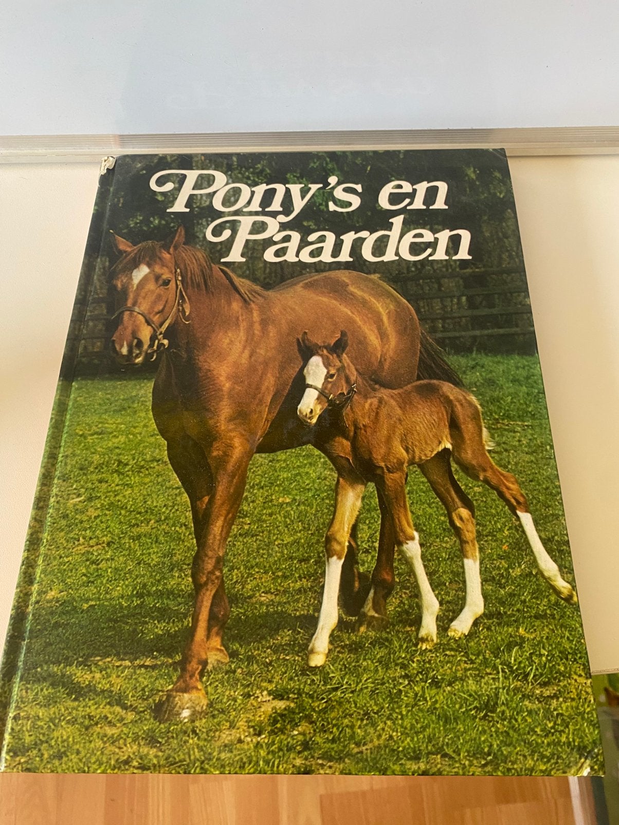 Boek pony’s en paarden, Boeken, Ophalen, Zo goed als nieuw