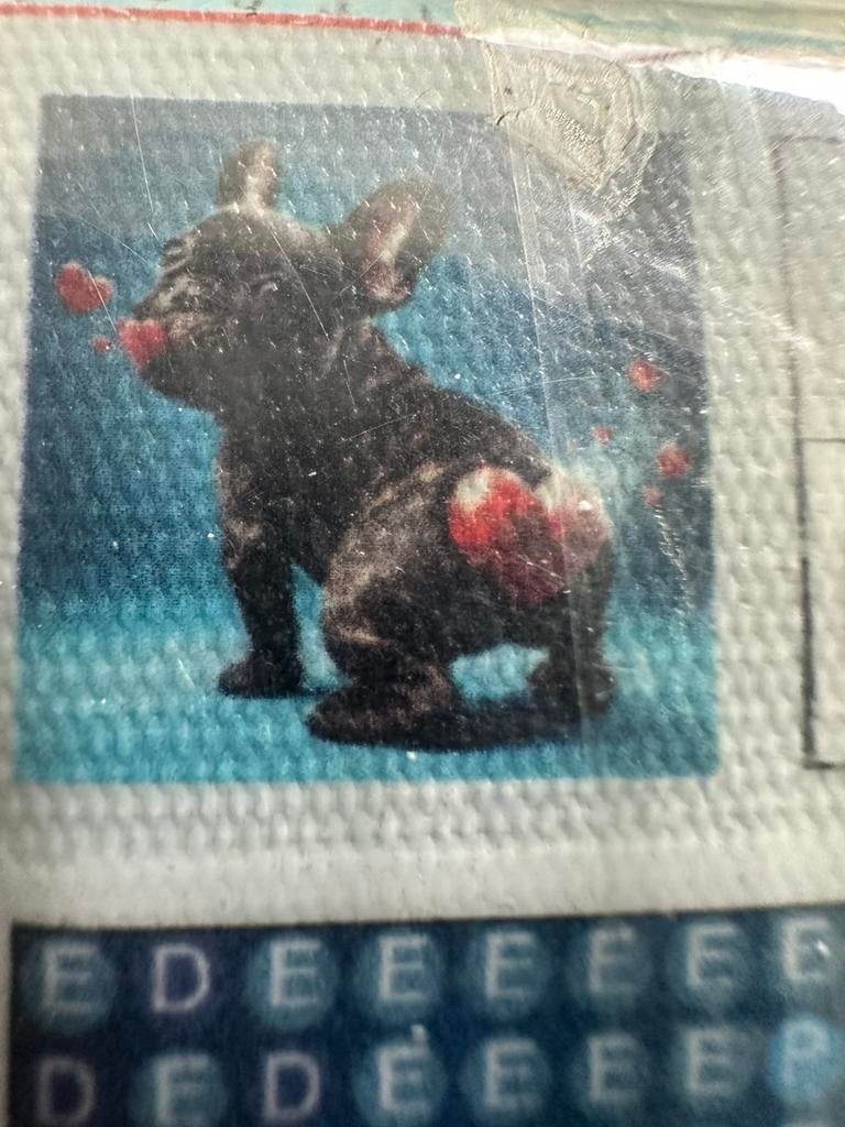 Diamond paintlng Franse bulldog, Ophalen of Verzenden, Nieuw