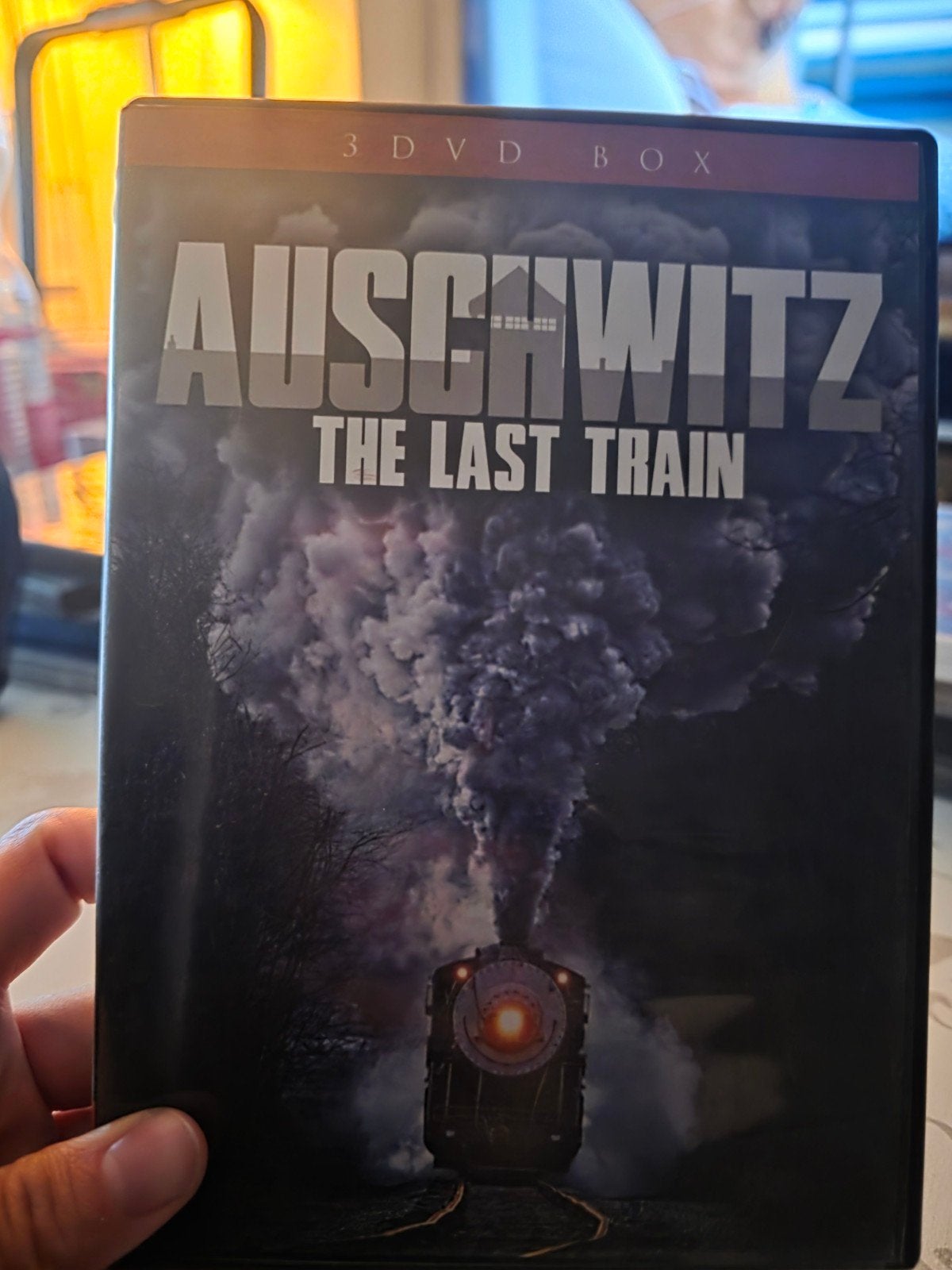 Auschwitz, CD & DVD, Blu-ray, Enlèvement ou Envoi, Utilisé