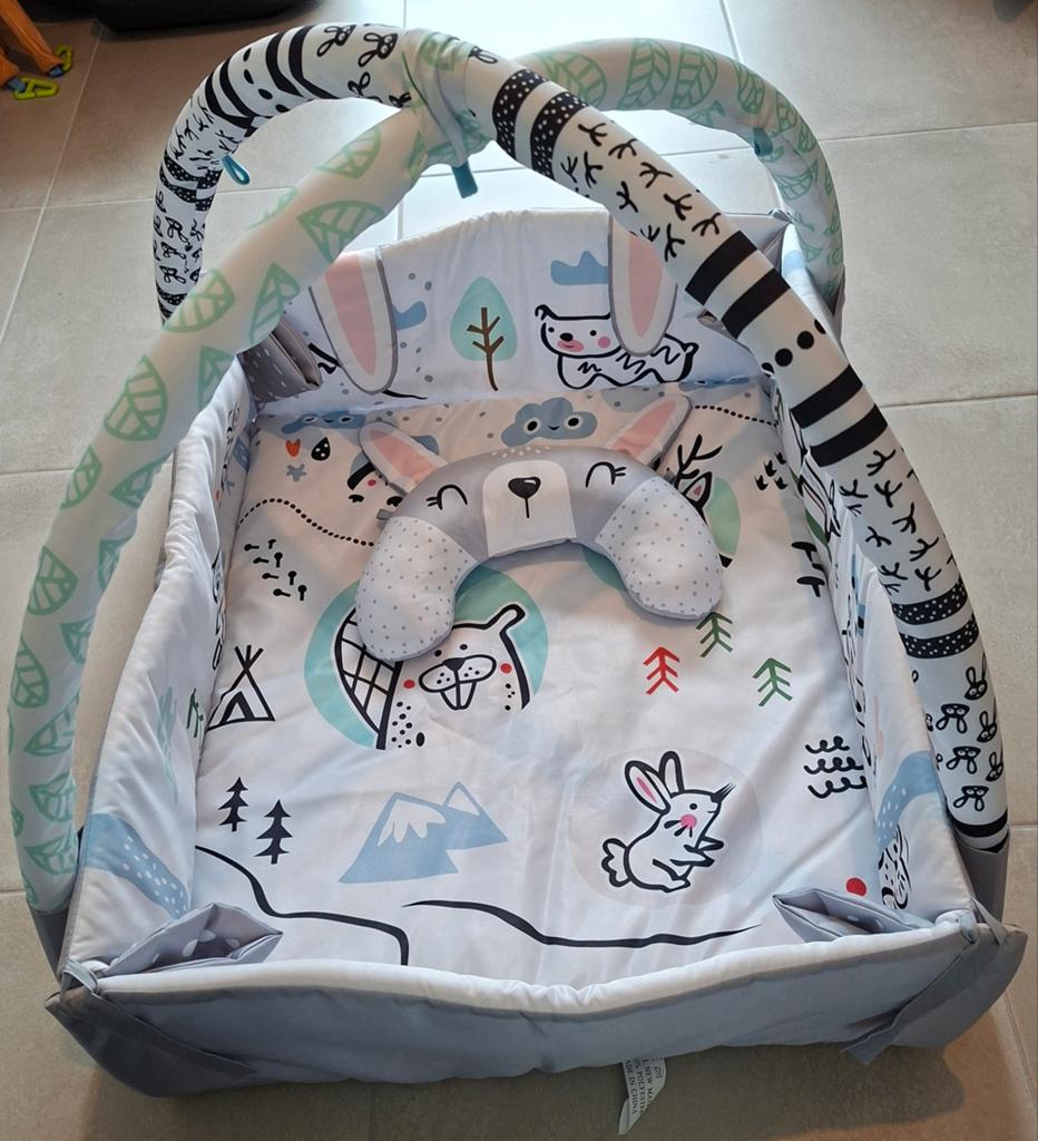 Babygym Speelmat, Ophalen, Gebruikt