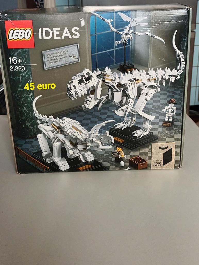 Lego ideas nr 21320, Kinderen en Baby's, Speelgoed | Duplo en Lego, Ophalen of Verzenden, Lego, Ideas